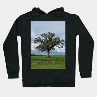 Single Tree In The Wide Open Fields Hoodie